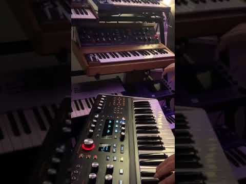 ASM Hydrasynth vs. Minimoog Model D Reissue - Impromptu Bass Comparison