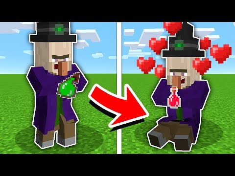 How to tame a WITCH in Minecraft?