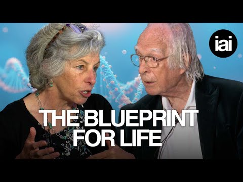 Die Genomblase ist geplatzt | Denis Noble, Joanna Moncrieff, Stuart Kauffman