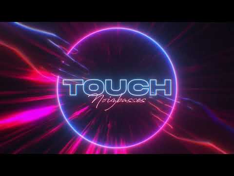 NoizBasses  - Touch