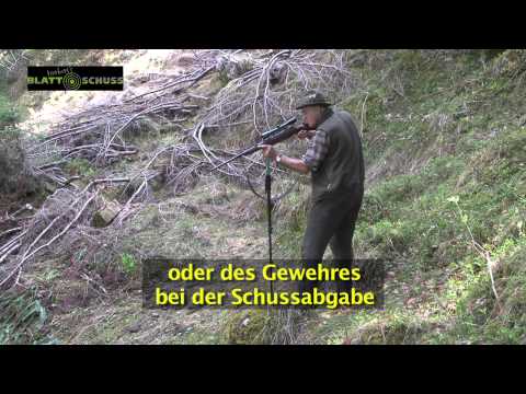 Blattschuss, das Richtige für die Jagd