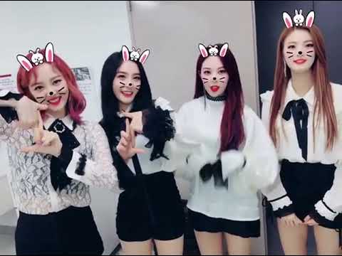 171114 D.ana, Nahyun, High.D & New Sun - Instagram Video