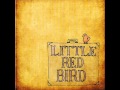 Little Red Bird - Dave Matthews and Tim Reynolds