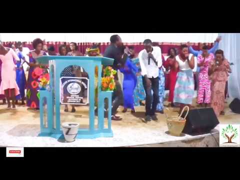 DATA ARACAKORA by LIGHT CHOIR