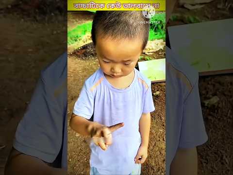 মা হারা বাচ্চাটি আজ বড়ো একা😟 /#shorts #shortvideo #shortsfeed #viralshorts #funny #youtube #viral