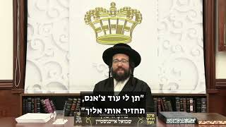 רבשע תן לי עוד צאנס  הרב יואל ראטה שליטא (הרב יואל ראטה) - התמונה מוצגת ישירות מתוך אתר האינטרנט יוטיוב. זכויות היוצרים בתמונה שייכות ליוצרה. קישור קרדיט למקור התוכן נמצא בתוך דף הסרטון