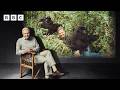 Sir David Attenborough S Amazing Gorilla Encounter BBC