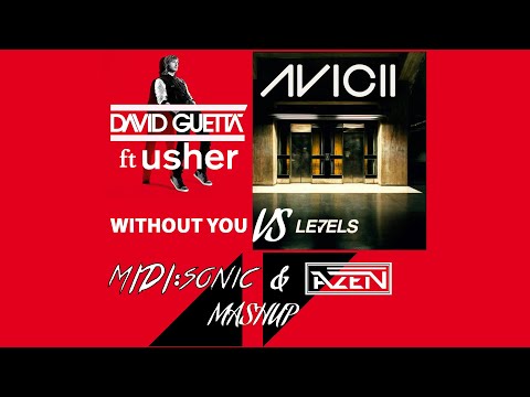 Avicii - Levels & David Guetta ft Usher Without You Mashup