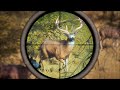 Hunting HUGE Whitetail DEER And TROPHY Elk In Hunter Call Of The Wild