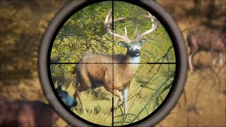 Hunting HUGE Whitetail DEER and TROPHY Elk in Hunter: Call Of The Wild