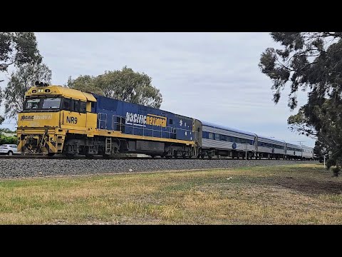 5AM8 up JBRE The Overland (NR9, 6V), Adelaide to Melbourne, 1350, 6/11/25, Horsham VIC 