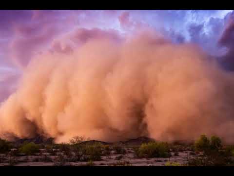 PRAH - ПРАХ - Marko Ružičić