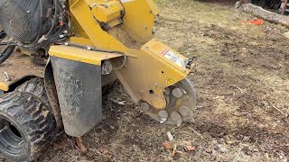 Dessoucheuse Rayco RG37 à vendre - Image 4 | Agroline CD Dessoucheuse Rayco RG37 | Image 4 - Agroline