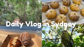 シドニー暮らしVlog|かぼちゃパンを焼く穏やかな週末🍞 海と自然に癒されて