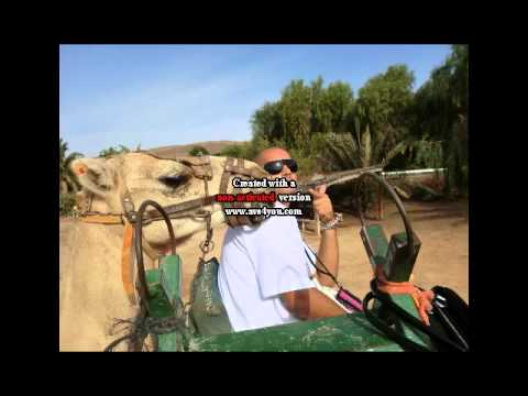 Plumi Bit Bull Sound 2014