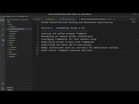 Web3 Hacking in Python - 0x14 Section 2 Temp Outline