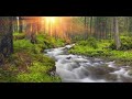 The River Is Flowing, Michael Allen Harrison, Soothing Solo Piano