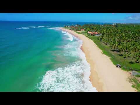 Praia de Muro Alto | Porto de Galinhas | Ipojuca | Pernambuco Brasil | Visto de Cima em 5.4K | Dji A
