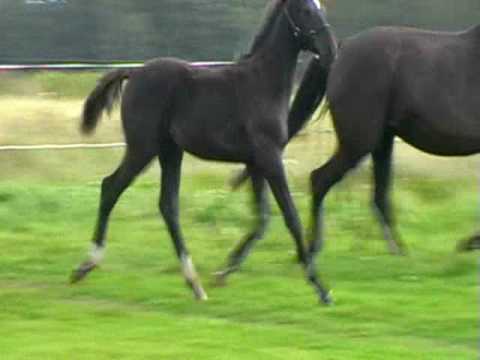 Johnny Depp 4 months