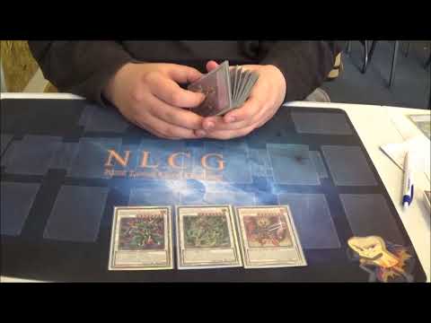 Großturnier Bremen - Deckprofile Top 4 - Antony B.