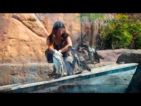 The Land of Legends Theme Park Турция, Белек 2017