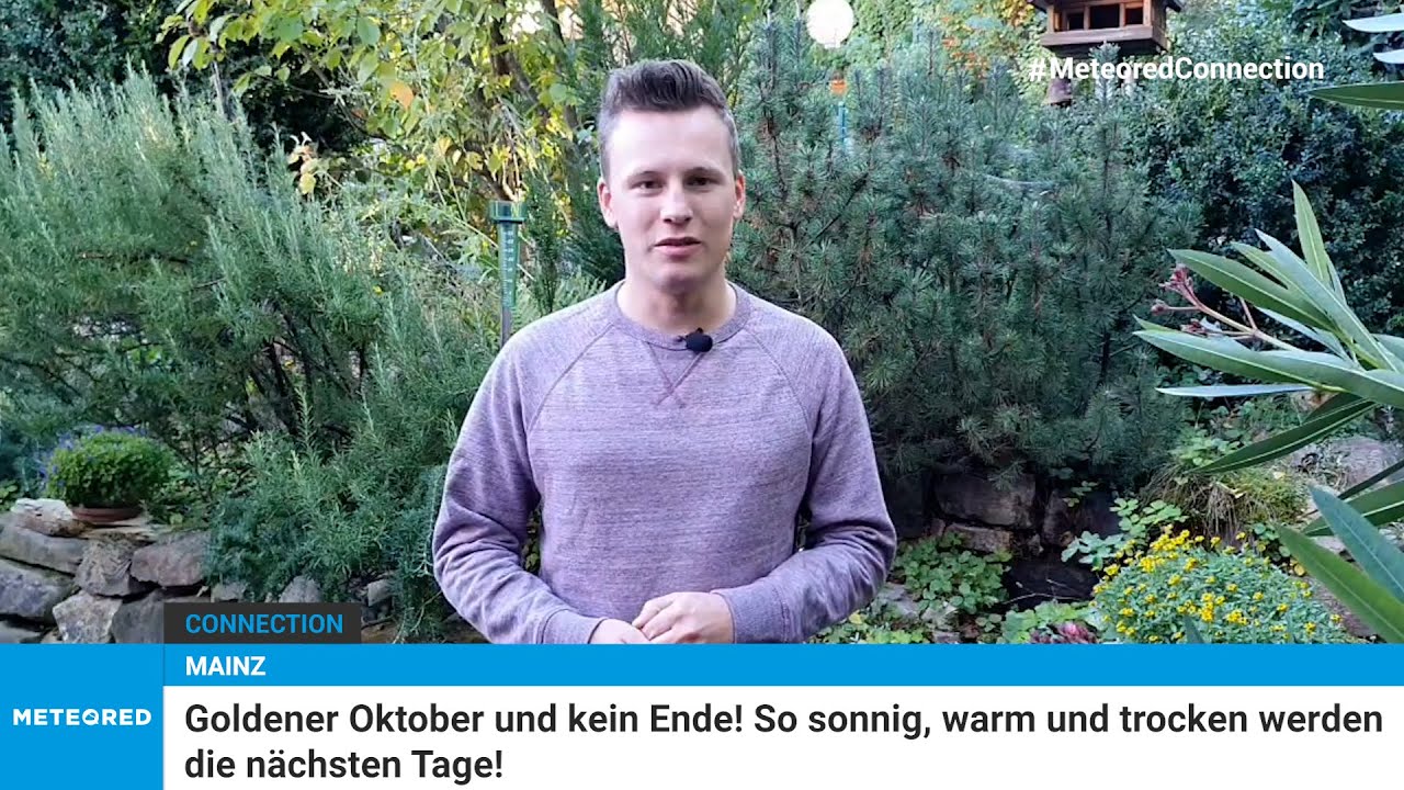 youtube video id=C2IXhK7KXjA