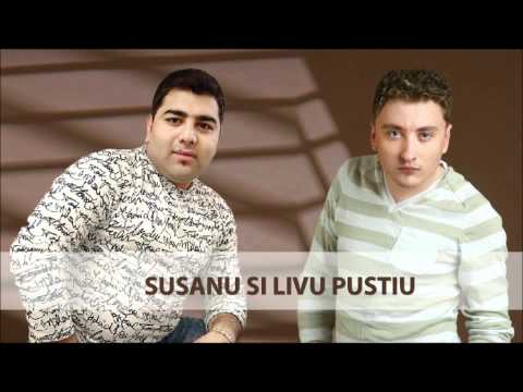 Susanu si Liviu Pustiu - Tu romanca , eu tigan