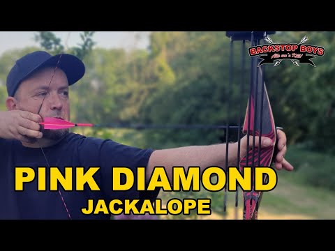 Jackalope Pink Diamond (Bodnik Bows) - Kurzvorstellung und Geschwindigkeitsvergleich mit dem Kiowa