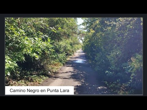 Camino Negro en Punta Lara partido de Ensenada Buenos Aires Argentina 