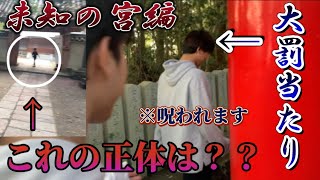 【木津川市心霊スポット第二弾】涌出宮のとしおくん伝説を探求せよ！！？！