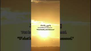 Download lagu sholawat Jibril, sholawat nabi,Shallallahu ‘ala Muhammad. mp3
