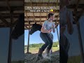 How Did We Do Horse Equestrian Dance Trend Dancetrend Fypviralシ Shorts