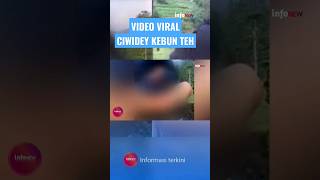 Download lagu VIDEO VIRAL CIWIDEY KEBUN TEH #short mp3 Download lagu VIDEO VIRAL CIWIDEY KEBUN TEH #short mp3