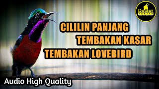 Download lagu KONIN FULL TEMBAKAN KASAR, PANJANG, CILILIN, LOVEBIRD,  MASTERAN EFEKTIF KOLIBRI NINJA GACOR NEMBAK mp3