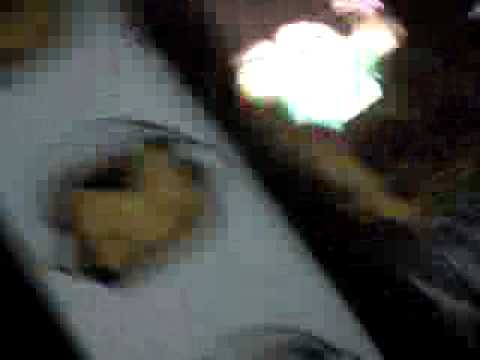 Mallorca Lee Planet Love Ireland 09