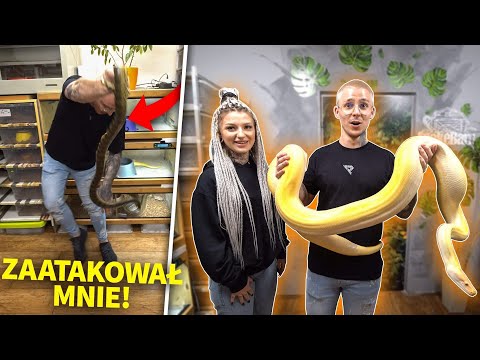 ZOSTAŁEM UGRYZIONY PRZEZ ANAKONDĘ!