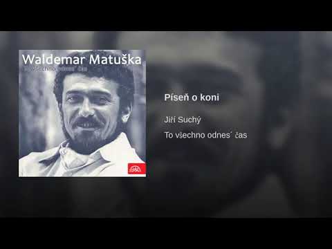 Píseň o koni