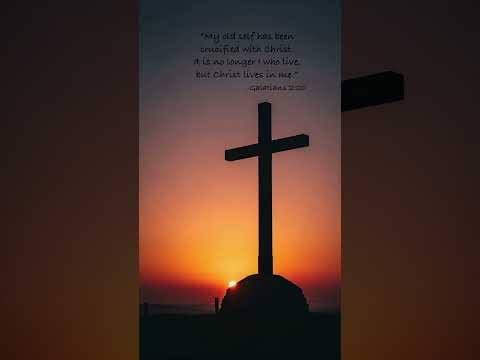 Day 157 of Spreading the Bible #amen #jesus #love #faith #bible #religion #christ #believe #repent