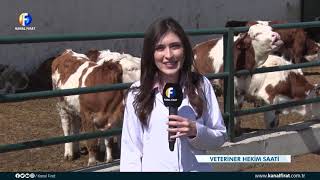 Veteriner Hekim Saati 03 04 2021