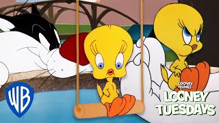 Looney Tuesdays  15 Times Tweety Almost Got Caught