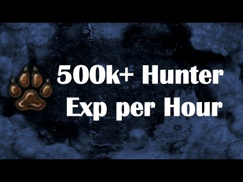 Best Hunter Exp: 500k+ Exp/H Catching Chronicle Fragments by Idk Whats Rc