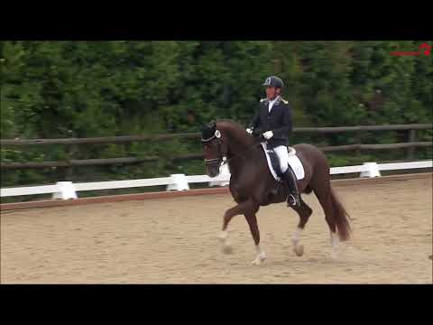 Shu Fu & Wolfhard Witte Dressurpferdeprüfung Kl. M Schillerslage 2023