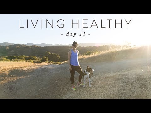 10 Tips for Starting a HEALTHY LIFESTYLE 🐝 DAY 11 | HONEYSUCKLE Video