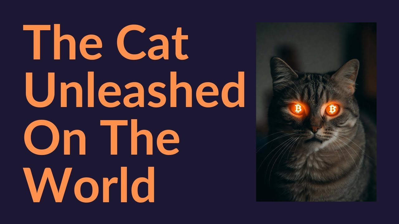 The Cat Unleashed On The World