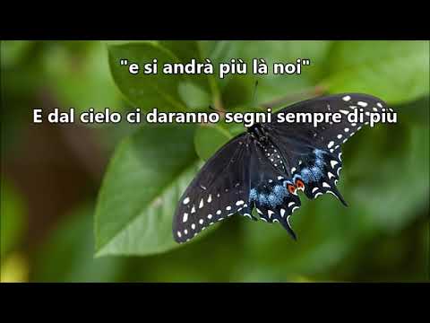 I segni ricevuti - messaggio metafonico del 02/08/19