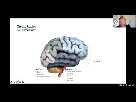 NIH Stroke Scale - Tips, Tricks and Pearls