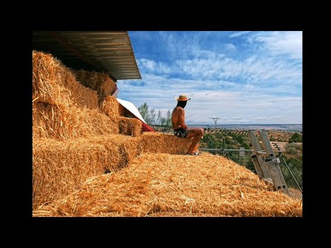 Policarpo318 - MARIA LUISA (oneshot) Prod. M Doallo