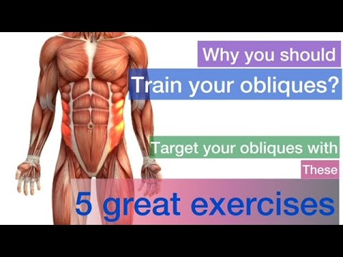 ✅ Why should you train your obliques. How to target the obliques with these 5 exercises. James Tang