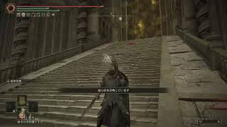 [エルデンリング]　多分攻略