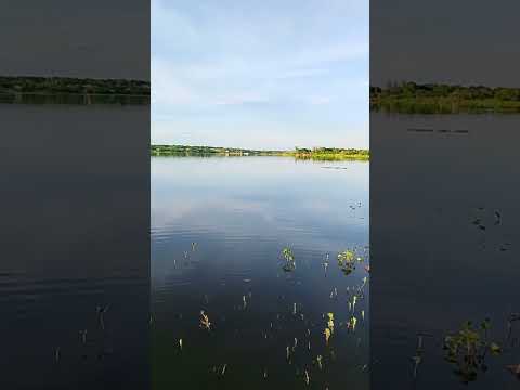 Barragem do Caboclo cheia em Belém do Piauí PI #agua #vida #chuva #sertão #shorts